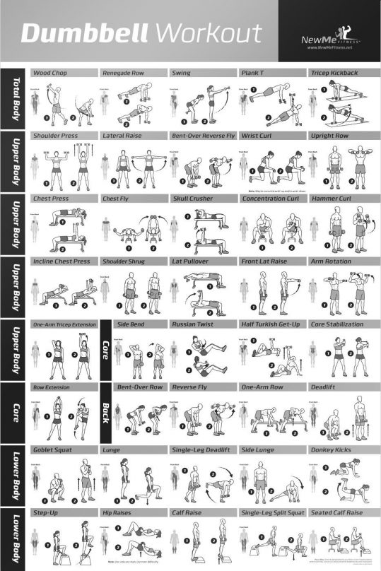 Fitness Wall Chart Posters