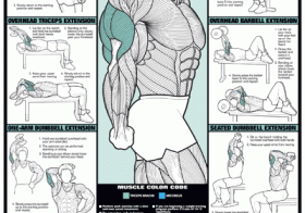 Bodybuilding Workout Posters