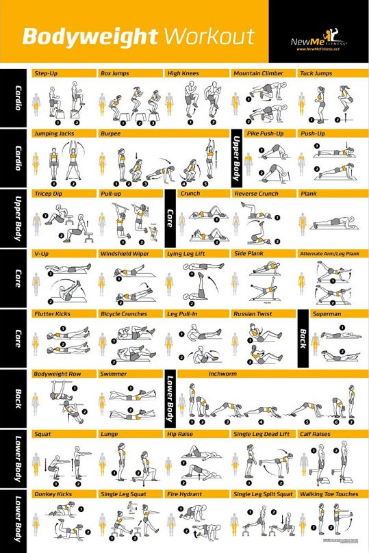 NewMe Fitness Dumbbell Exercise Poster - 18x27 Strength Training Chart -  Home 